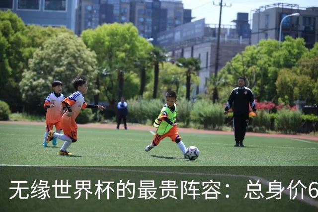 无缘世界杯的最贵阵容：总身价6.7亿 意大利5人